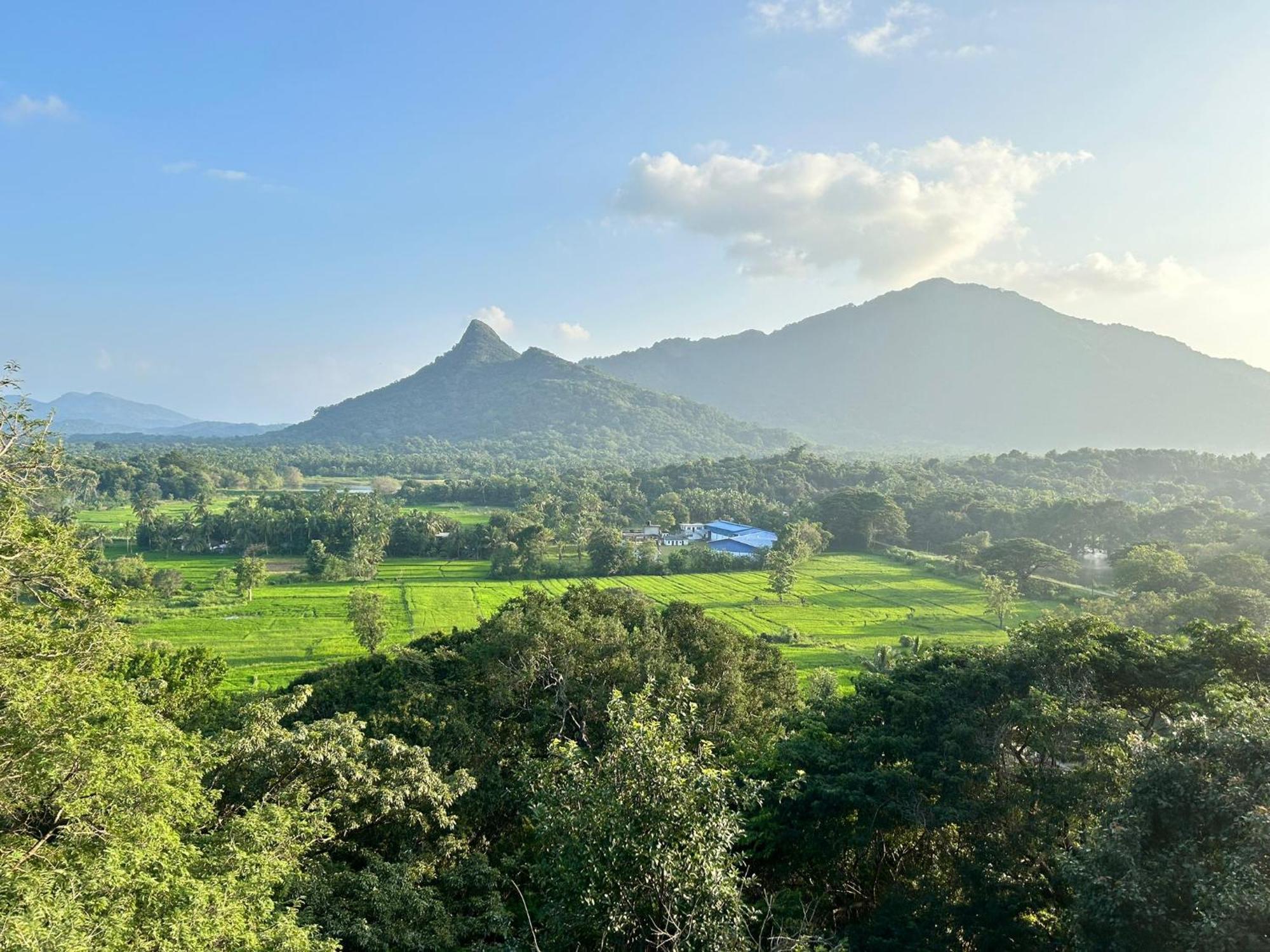 Ridge Boundary View Apartment Dambulla Ngoại thất bức ảnh