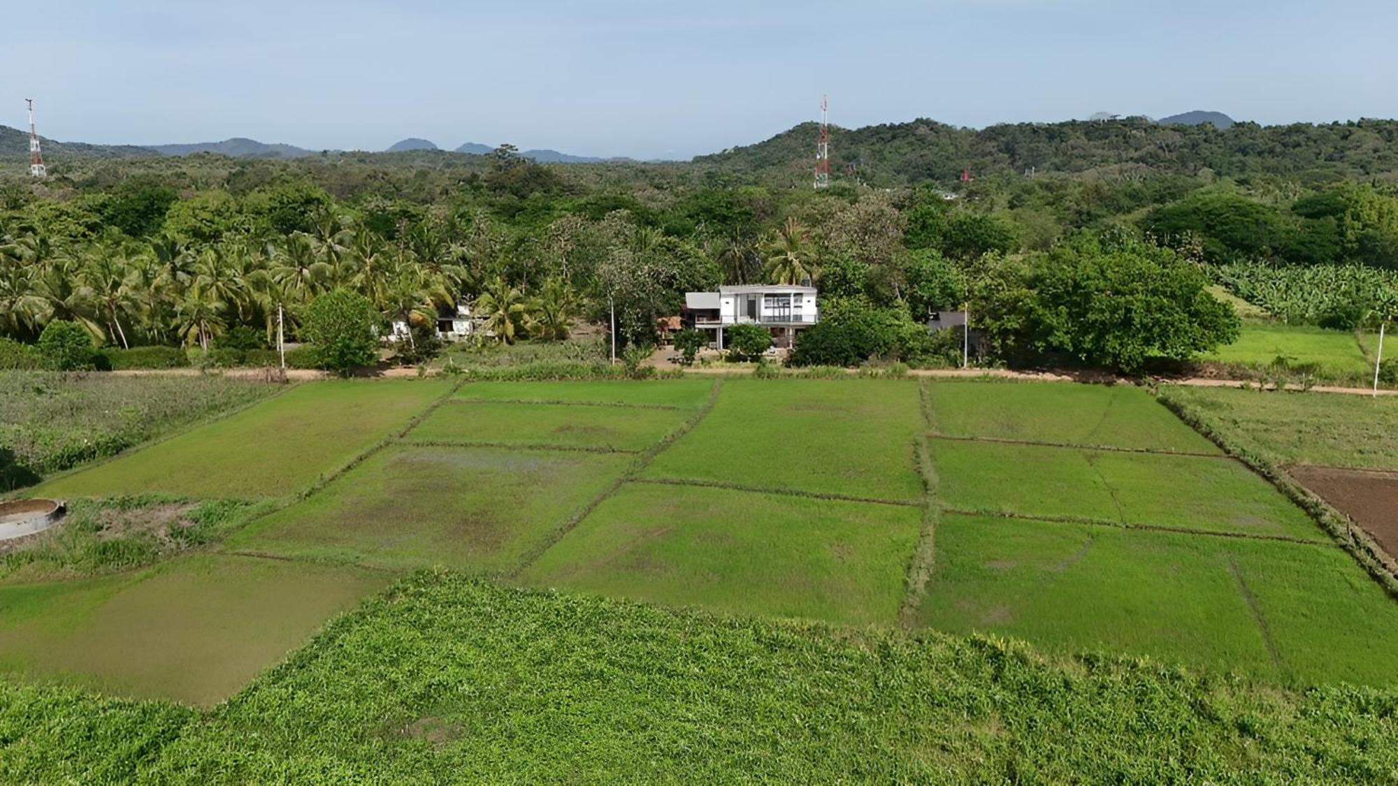 Ridge Boundary View Apartment Dambulla Ngoại thất bức ảnh